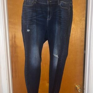 Lane Bryant Blue Skinny Jeans with Distressed Details